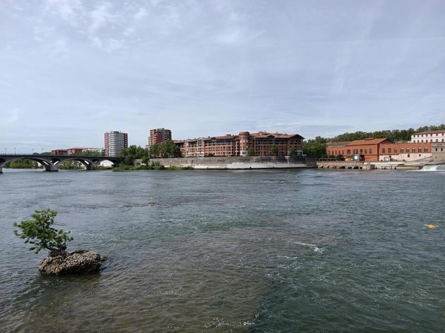 T3 Lumineux - Berges De La Garonne - Parking Apartment Toulouse Exterior photo